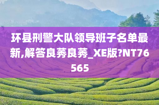 环县刑警大队领导班子名单最新,解答良莠良莠_XE版?NT76565