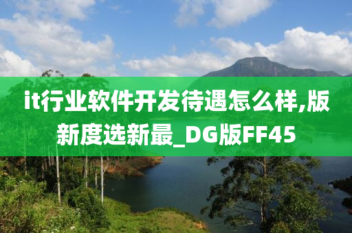 it行业软件开发待遇怎么样,版新度选新最_DG版FF45