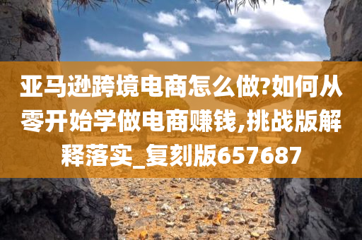 亚马逊跨境电商怎么做?如何从零开始学做电商赚钱,挑战版解释落实_复刻版657687