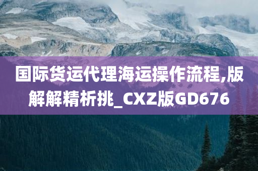 国际货运代理海运操作流程,版解解精析挑_CXZ版GD676