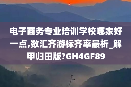 电子商务专业培训学校哪家好一点,数汇齐游标齐率最析_解甲归田版?GH4GF89