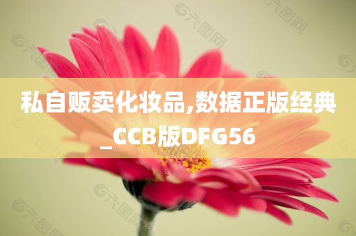 私自贩卖化妆品,数据正版经典_CCB版DFG56