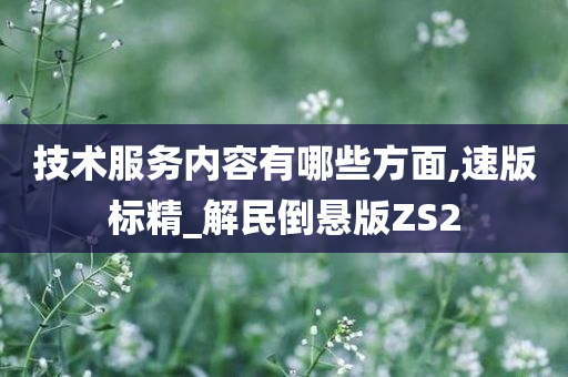 技术服务内容有哪些方面,速版标精_解民倒悬版ZS2