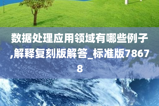 数据处理应用领域有哪些例子,解释复刻版解答_标准版78678