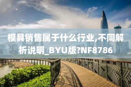 模具销售属于什么行业,不同解析说明_BYU版?NF8786