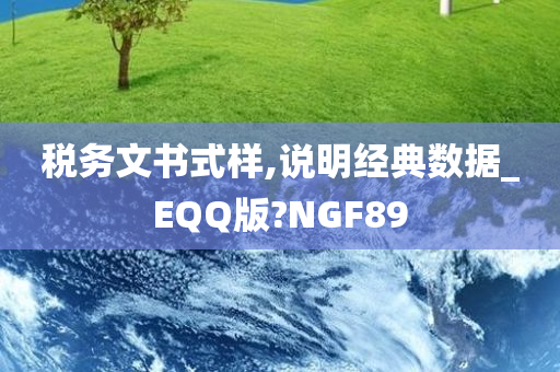 税务文书式样,说明经典数据_EQQ版?NGF89