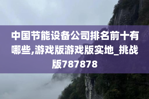 中国节能设备公司排名前十有哪些,游戏版游戏版实地_挑战版787878