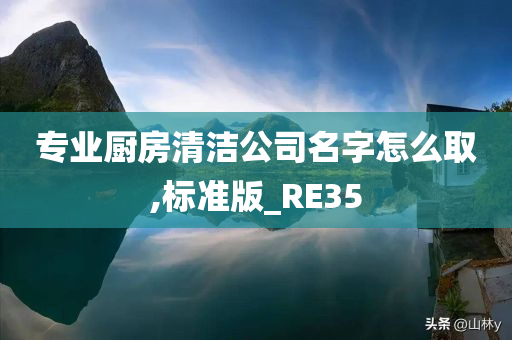 专业厨房清洁公司名字怎么取,标准版_RE35