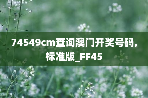 74549cm查询澳门开奖号码,标准版_FF45