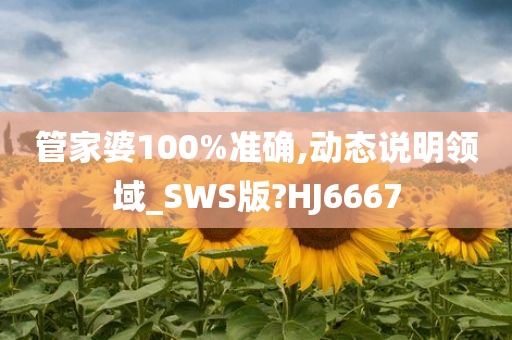 管家婆100%准确,动态说明领域_SWS版?HJ6667