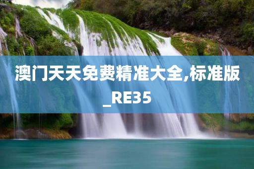 澳门天天免费精准大全,标准版_RE35