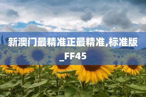 新澳门最精准正最精准,标准版_FF45