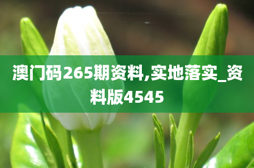 澳门码265期资料,实地落实_资料版4545