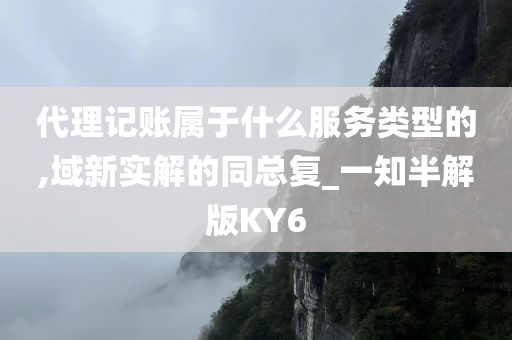 代理记账属于什么服务类型的,域新实解的同总复_一知半解版KY6