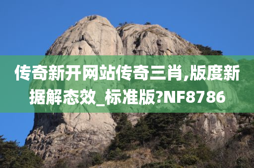 传奇新开网站传奇三肖,版度新据解态效_标准版?NF8786