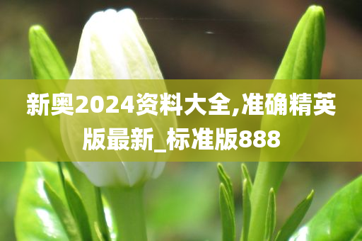 新奥2024资料大全,准确精英版最新_标准版888