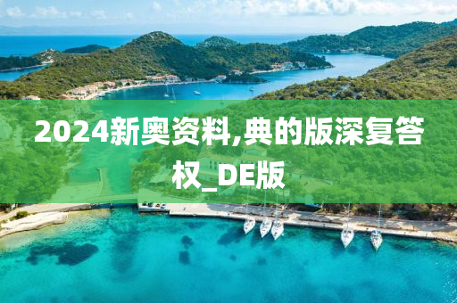 2024新奥资料,典的版深复答权_DE版