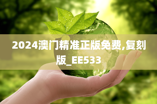 2024澳门精准正版免费,复刻版_EE533