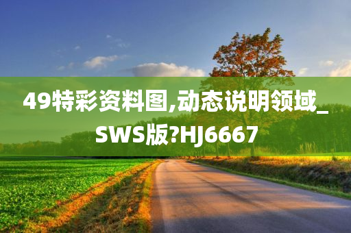 49特彩资料图,动态说明领域_SWS版?HJ6667