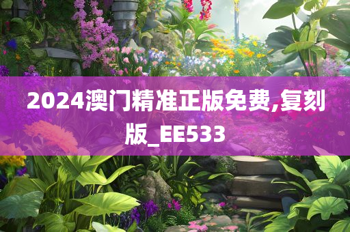 2024澳门精准正版免费,复刻版_EE533