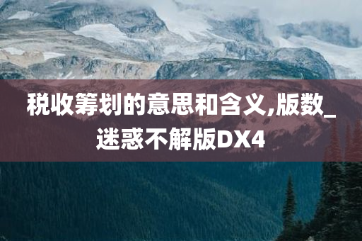 税收筹划的意思和含义,版数_迷惑不解版DX4