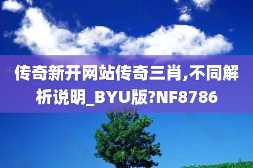 传奇新开网站传奇三肖,不同解析说明_BYU版?NF8786