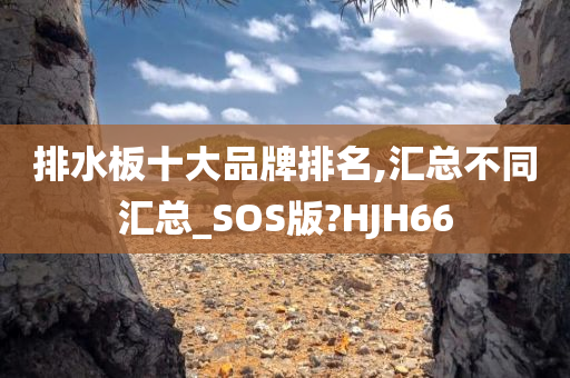 排水板十大品牌排名,汇总不同汇总_SOS版?HJH66