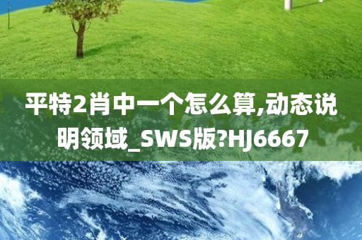 平特2肖中一个怎么算,动态说明领域_SWS版?HJ6667