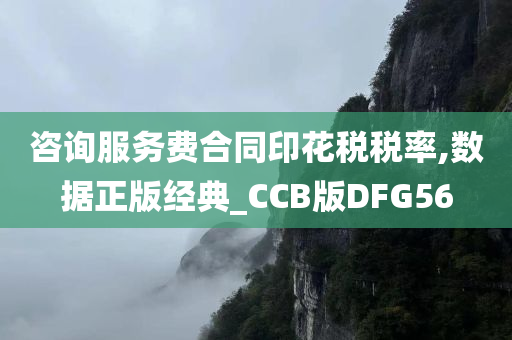 咨询服务费合同印花税税率,数据正版经典_CCB版DFG56