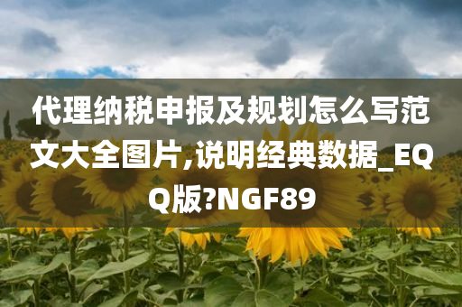 代理纳税申报及规划怎么写范文大全图片,说明经典数据_EQQ版?NGF89