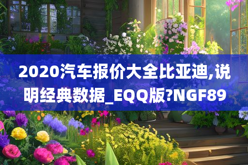 2020汽车报价大全比亚迪,说明经典数据_EQQ版?NGF89