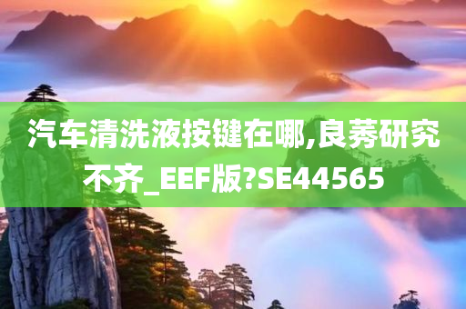 汽车清洗液按键在哪,良莠研究不齐_EEF版?SE44565