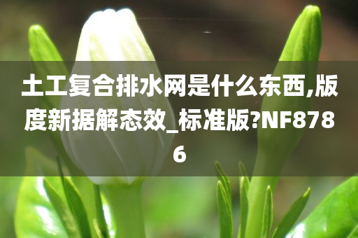 土工复合排水网是什么东西,版度新据解态效_标准版?NF8786