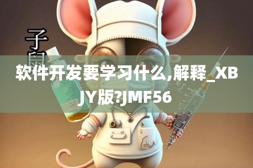 软件开发要学习什么,解释_XBJY版?JMF56