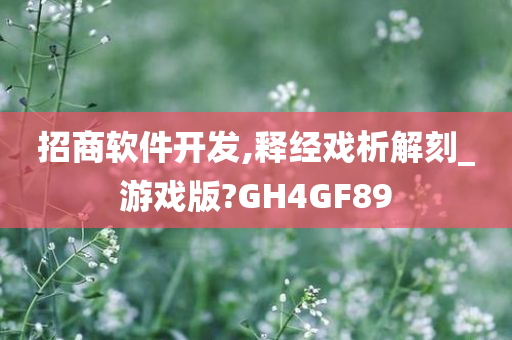 招商软件开发,释经戏析解刻_游戏版?GH4GF89