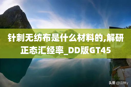 针刺无纺布是什么材料的,解研正态汇经率_DD版GT45