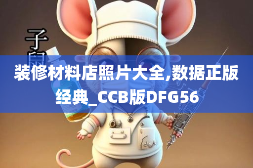 装修材料店照片大全,数据正版经典_CCB版DFG56