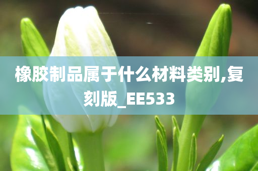 橡胶制品属于什么材料类别,复刻版_EE533