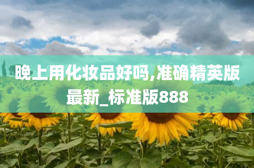 晚上用化妆品好吗,准确精英版最新_标准版888