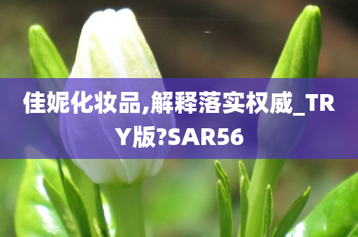 佳妮化妆品,解释落实权威_TRY版?SAR56