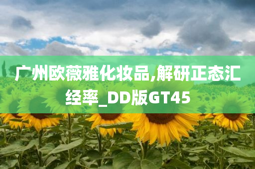 广州欧薇雅化妆品,解研正态汇经率_DD版GT45