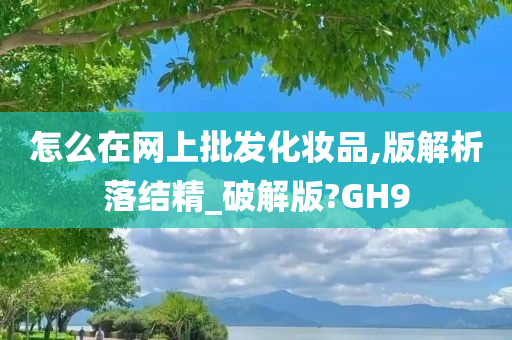 怎么在网上批发化妆品,版解析落结精_破解版?GH9