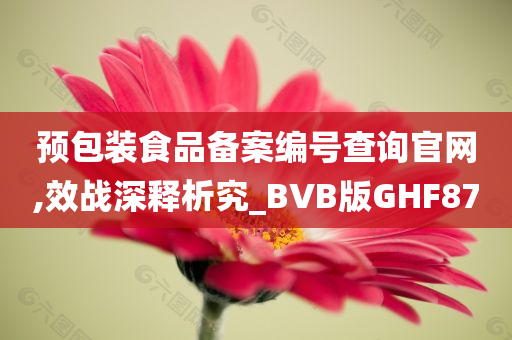 预包装食品备案编号查询官网,效战深释析究_BVB版GHF87