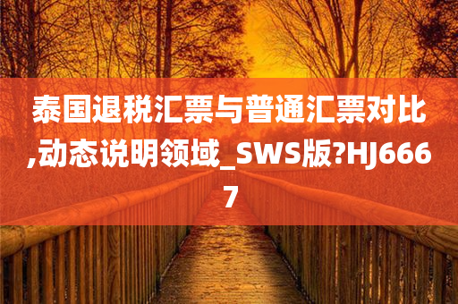 泰国退税汇票与普通汇票对比,动态说明领域_SWS版?HJ6667