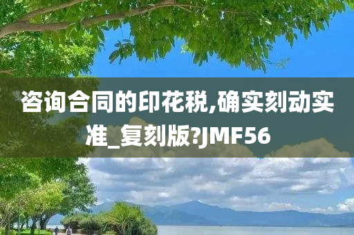 咨询合同的印花税,确实刻动实准_复刻版?JMF56