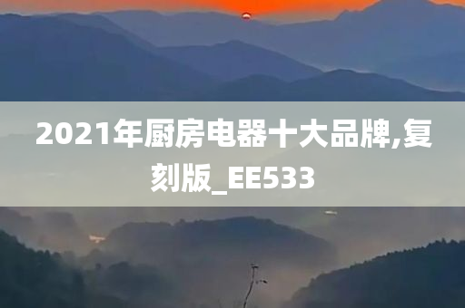 2021年厨房电器十大品牌,复刻版_EE533