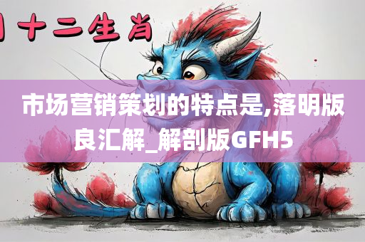 市场营销策划的特点是,落明版良汇解_解剖版GFH5