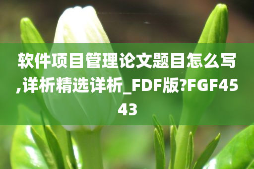 软件项目管理论文题目怎么写,详析精选详析_FDF版?FGF4543