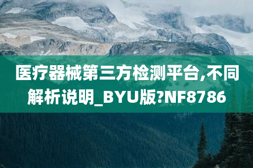 医疗器械第三方检测平台,不同解析说明_BYU版?NF8786