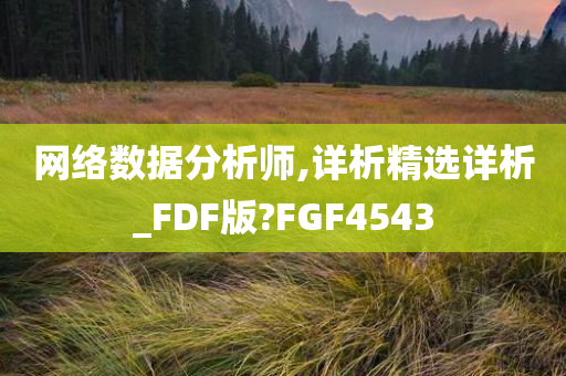 网络数据分析师,详析精选详析_FDF版?FGF4543